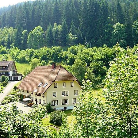 Country Style Flat With Garden Apartment Triberg im Schwarzwald Ngoại thất bức ảnh
