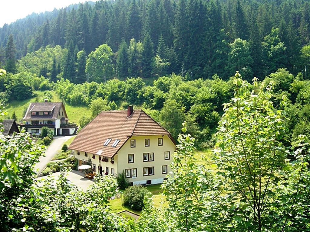 Country Style Flat With Garden Apartment Triberg im Schwarzwald Ngoại thất bức ảnh