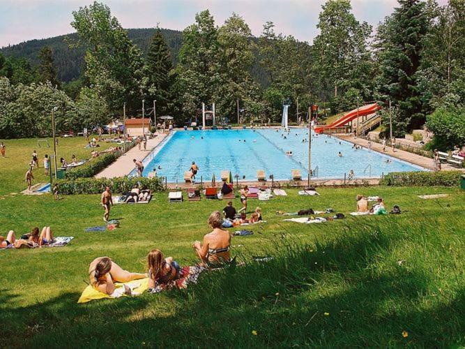 Country Style Flat With Garden Apartment Triberg im Schwarzwald Ngoại thất bức ảnh