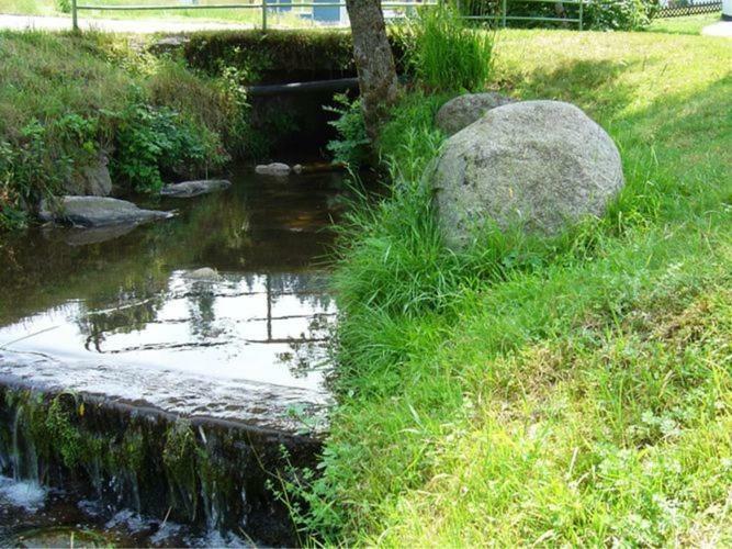 Country Style Flat With Garden Apartment Triberg im Schwarzwald Ngoại thất bức ảnh